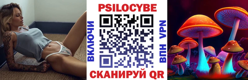 Псилоцибиновые грибы мицелий  Короча 